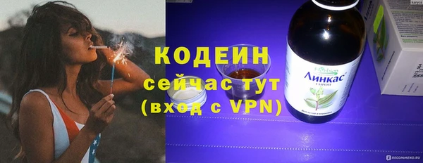 дживик Алапаевск
