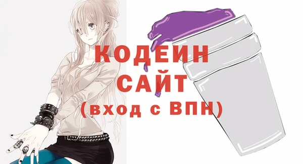 соль ск Новозыбков