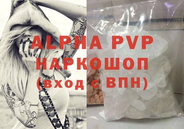 соль ск Новозыбков