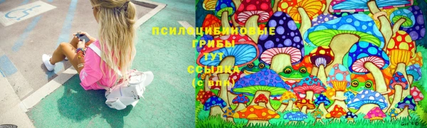 МДМА Новодвинск