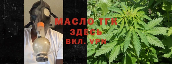 соль ск Новозыбков