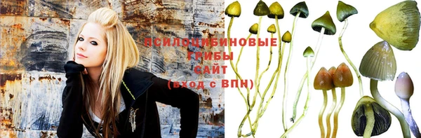 МДМА Новодвинск