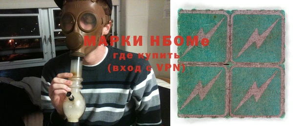 соль ск Новозыбков