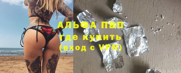 соль ск Новозыбков