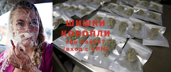 соль ск Новозыбков