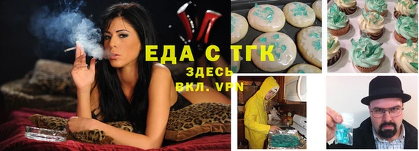 соль ск Новозыбков