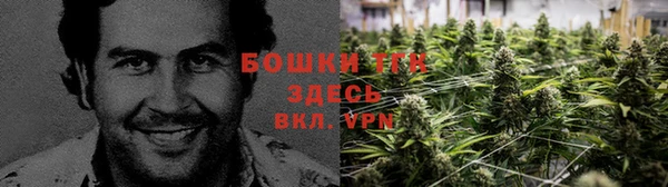 МДМА Новодвинск
